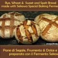 Rye Bread made with Sekowa Starter, Pane alla[...]