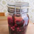 Liquore di Mirtilli , Ribes e Cannella.