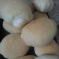 Bocconcini