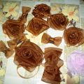 LE ROSE DI ORGANZA