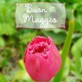 1° Maggio