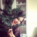 My Christmas tree 2012