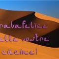 POLPETTINE SVEDESI DELL'ARABA!!!!