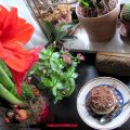 Tiramisu' ...o quasi ....per quanti modi di[...]