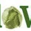 Mi trovate anche su... Cavolo Verde!