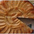 Torta di mele Paneangeli
