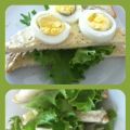 CLUB SANDWICH