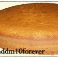 TORTA AL COCCO