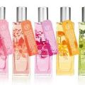 rewiew amazonian lily the body shop