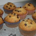 muffin con gocce di cioccolato