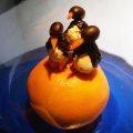 Pinguini a Torino?