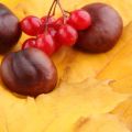 CROCCHETTE ALLE CASTAGNE