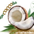 Stelline e fiorellini al cocco e pera