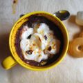 S'mores mug cake | Torta in tazza cioccolato e[...]