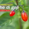 Collaborazione Goji... osa! ;o)