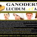 IL GANODERMA LUCIDUM ...E L'ACNE