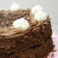 TORTA DOPPIA AL CIOCCOLATO