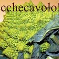 LE RACCOLTE:ECCHECAVOLO!