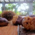 Dolcetti di Castagne  - Sweet chestnuts