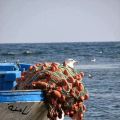 Non sei tu il mare?
