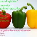 polpettone ripieno di peperoni grigliati
