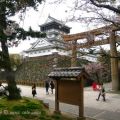 Hanami nel parco del Castello di Kokura[...]