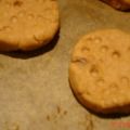 Biscotti cicciotti per colazione...