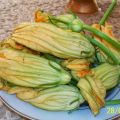 Frittelle con i fiori di zucca -pizzelle cu e[...]