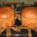 panettone gastronomico 3