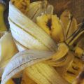 FERTILIZZANTE ALLA BUCCIA DI BANANA
