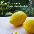 Mini Caprese al limone d'Amalfi ed olio di oliva