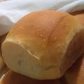 PANINI MARGHERITA