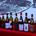 LE ZONE E I TERROIRS DEL ROERO