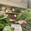 Il Primo Mercato Contadino Coperto di Campagna[...]