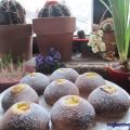 Sockerbullar per quanti modi di fare e rifare