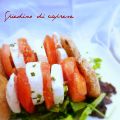SPIEDINO DI CAPRESE