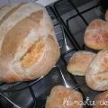 Pane di semola