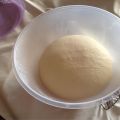 Pizza Eva ( lievitazione naturale)