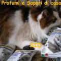SANYpet Forza 10