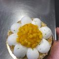 Un fiore per rinascere