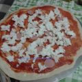 Pizza fatta in casa