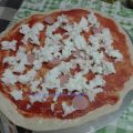 Pizza fatta in casa