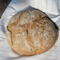 Pane integrale con Lm e semi misti