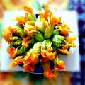 TRIS DI FIORI DI ZUCCA