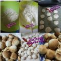 nuvole soffici ripiene di crema al latte