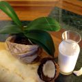 Latte di cocco fatto in casa
