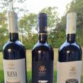 IL NEPENTE DI OLIENA DELL' AZIENDA VINICOLA[...]