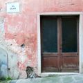 Levanto