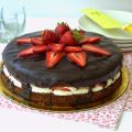 TORTA SENZA GLUTINE FRAGOLE E CIOCCOLATO