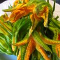 Fiori di zucchina fritti e...tanto amore